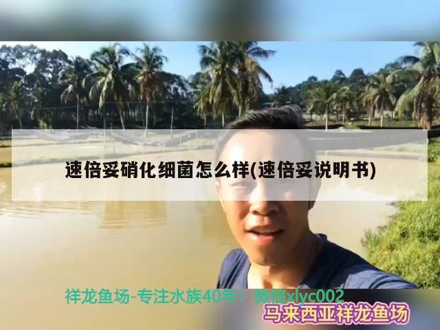什么魚能和龍魚、虎魚混養(龍魚能和虎魚混養嗎) 速倍妥硝化細菌怎么樣(速倍妥說明書) 速倍妥 速倍妥硝化細菌怎么樣(速倍妥說明書) 速倍妥硝化細菌怎么樣(速倍妥說明書) 速倍妥