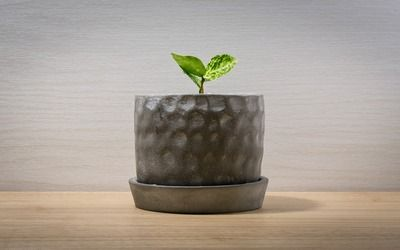 過背金龍魚喂什么發色好看圖片欣賞一下：標題：過背金龍魚的發色奧秘 過背金龍魚喂什么發色好看圖片欣賞一下：標題：過背金龍魚的發色奧秘 金龍魚百科 第4張