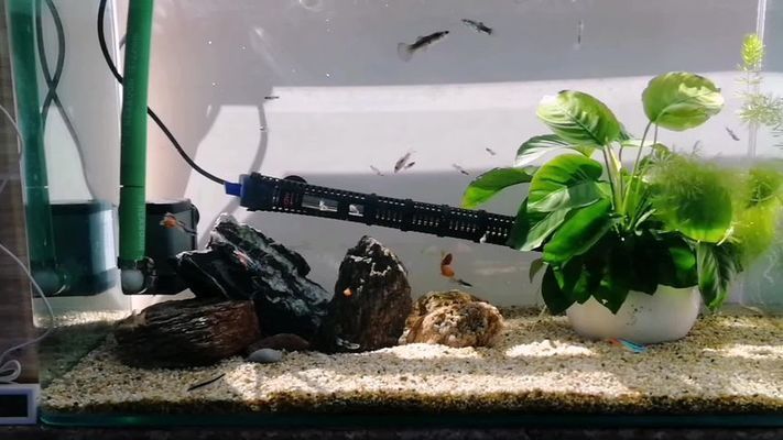 老魚匠水泵進水口尺寸（老魚匠水泵進水口直徑） 老魚匠水泵進水口尺寸（老魚匠水泵進水口直徑） 老魚匠