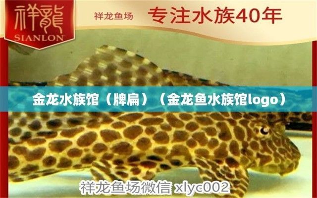 水族館牌子圖片高清(水族館圖標、水族館logo、水族館門頭樣式圖片信息) 水族館百科(水族館加盟) 第3張 水族館牌子圖片高清(水族館圖標、水族館logo、水族館門頭樣式圖片信息) 水族館牌子圖片高清(水族館圖標、水族館logo、水族館門頭樣式圖片信息) 水族館百科(水族館加盟) 第3張