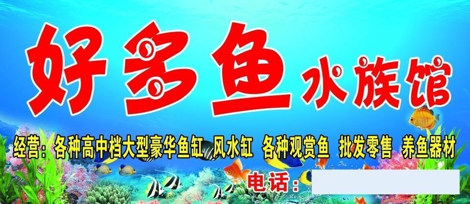 水族館牌子圖片高清(水族館圖標、水族館logo、水族館門頭樣式圖片信息) 水族館百科(水族館加盟) 第4張 水族館牌子圖片高清(水族館圖標、水族館logo、水族館門頭樣式圖片信息) 水族館牌子圖片高清(水族館圖標、水族館logo、水族館門頭樣式圖片信息) 水族館百科(水族館加盟) 第4張
