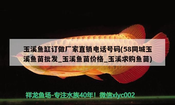 玉溪魚缸訂做廠家直銷電話號碼(58同城玉溪魚苗批發_玉溪魚苗價格_玉溪求購魚苗) 玉溪魚缸訂做廠家直銷電話號碼(58同城玉溪魚苗批發_玉溪魚苗價格_玉溪求購魚苗) 元寶鳳凰魚百科