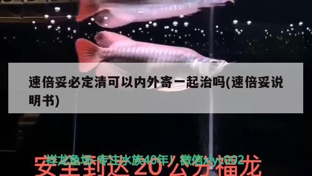 速倍妥必定清可以內外寄一起治嗎(速倍妥說明書)
