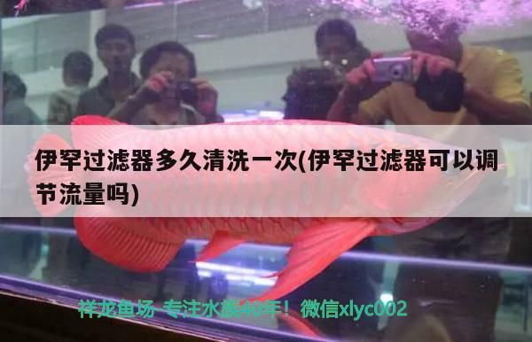 伊罕過濾器多久清洗一次(伊罕過濾器可以調節流量嗎) 伊罕過濾器多久清洗一次(伊罕過濾器可以調節流量嗎) 伊罕水族