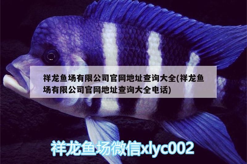 祥龍魚(yú)場(chǎng)有限公司官網(wǎng)地址查詢(xún)大全(祥龍魚(yú)場(chǎng)有限公司官網(wǎng)地址查詢(xún)大全電話(huà))