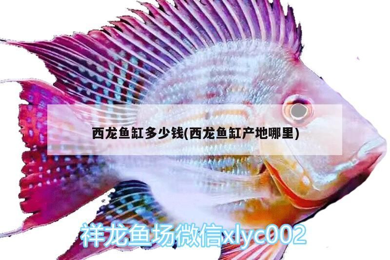西龍魚(yú)缸多少錢(西龍魚(yú)缸產(chǎn)地哪里)