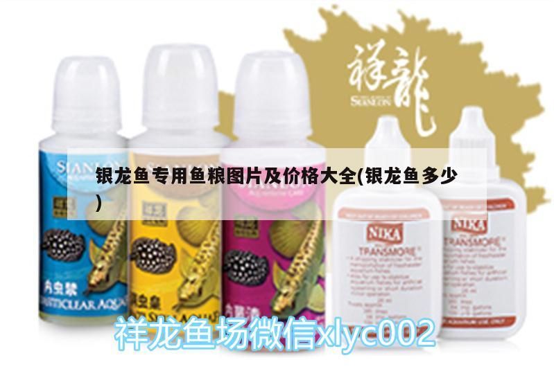 銀龍魚專用魚糧圖片及價格大全(銀龍魚多少)
