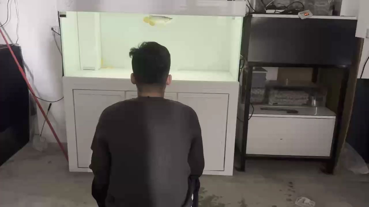 新魚到家 新魚到家 龍魚論壇 第1張