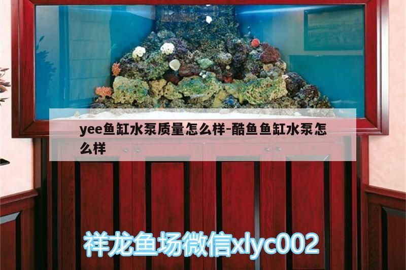 yee魚缸水泵質(zhì)量怎么樣:酷魚魚缸水泵怎么樣 yee魚缸水泵質(zhì)量怎么樣:酷魚魚缸水泵怎么樣 yee