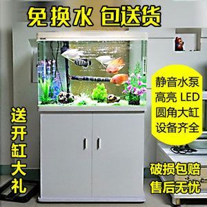 60的魚缸可以養什么魚：60厘米的魚缸適合養什么觀賞魚