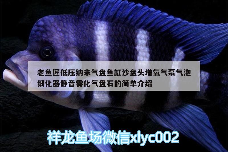 老魚匠低壓納米氣盤魚缸沙盤頭增氧氣泵氣泡細化器靜音霧化氣盤石的簡單介紹 老魚匠低壓納米氣盤魚缸沙盤頭增氧氣泵氣泡細化器靜音霧化氣盤石的簡單介紹 老魚匠
