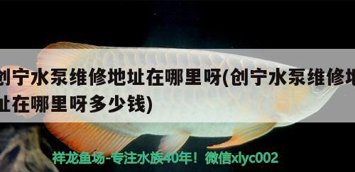 創(chuàng)寧水泵維修地址在哪里呀(創(chuàng)寧水泵維修地址在哪里呀多少錢) 創(chuàng)寧水泵維修地址在哪里呀(創(chuàng)寧水泵維修地址在哪里呀多少錢) 創(chuàng)寧水族