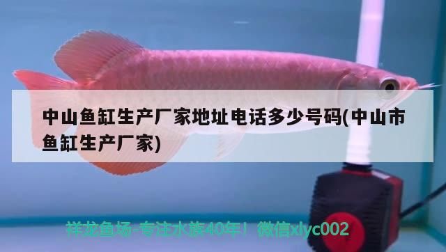 中山魚缸生產(chǎn)廠家地址電話多少號(hào)碼(中山市魚缸生產(chǎn)廠家) 中山魚缸生產(chǎn)廠家地址電話多少號(hào)碼(中山市魚缸生產(chǎn)廠家) 九鼎魚缸