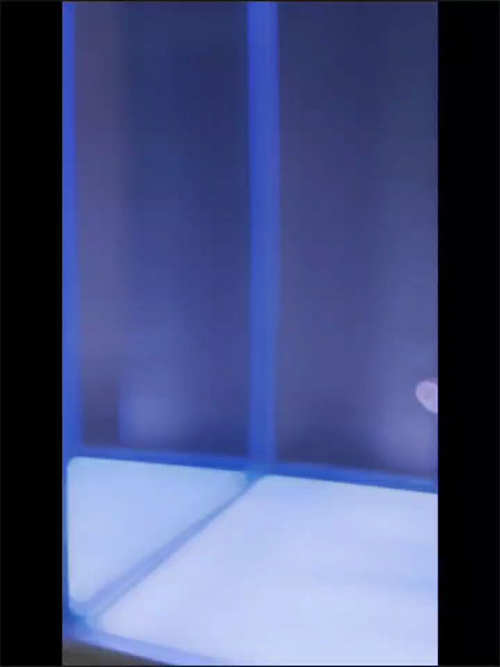 紅龍魚用黃燈烤有用嗎 自己從10公分養到現在50的巨骨 龍魚論壇 自己從10公分養到現在50的巨骨 自己從10公分養到現在50的巨骨 龍魚論壇