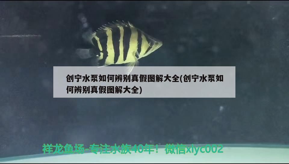 創寧水泵如何辨別真假圖解大全(創寧水泵如何辨別真假圖解大全)