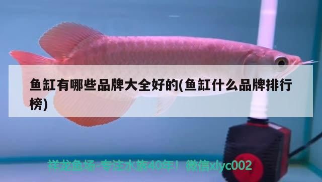魚缸有哪些品牌大全好的(魚缸什么品牌排行榜)