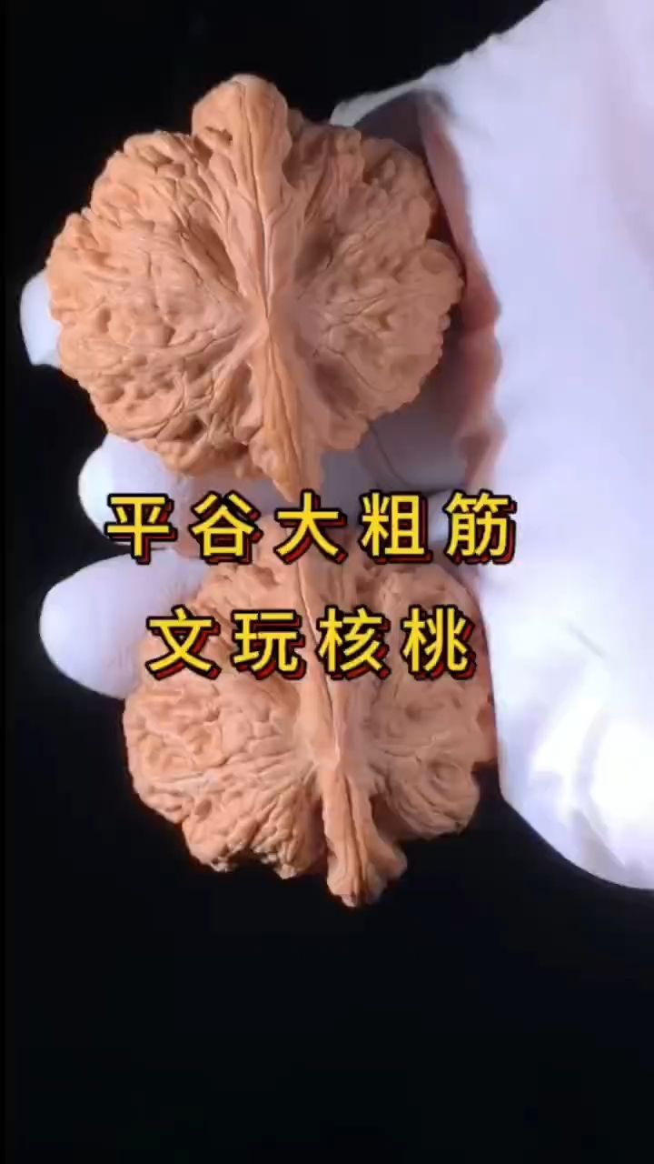 <strong><mark>平谷</mark></strong>大粗筋