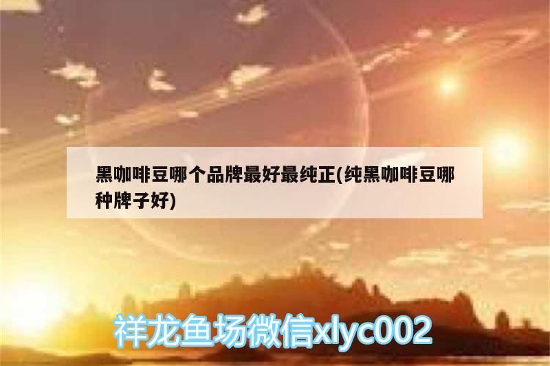 黑咖啡豆哪個品牌最好最純正(純黑咖啡豆哪種牌子好)