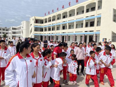 金龍魚日常活動規律：關于金龍魚的日常活動規律