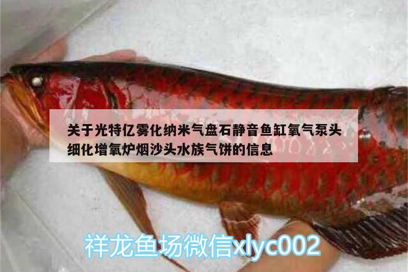 關(guān)于光特億霧化納米氣盤石靜音魚缸氧氣泵頭細(xì)化增氧爐煙沙頭水族氣餅的信息 關(guān)于光特億霧化納米氣盤石靜音魚缸氧氣泵頭細(xì)化增氧爐煙沙頭水族氣餅的信息 光特億