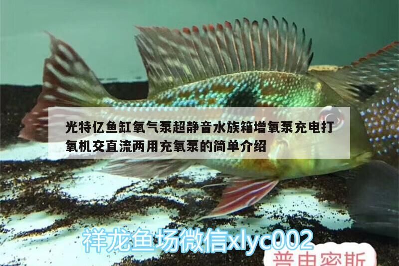 光特億魚缸氧氣泵超靜音水族箱增氧泵充電打氧機交直流兩用充氧泵的簡單介紹