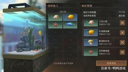 紅龍魚狀態(tài)不好怎么辦：當(dāng)紅龍魚狀態(tài)不佳時應(yīng)首先檢查水質(zhì)，確保其處于最佳狀態(tài) 紅龍魚狀態(tài)不好怎么辦：當(dāng)紅龍魚狀態(tài)不佳時應(yīng)首先檢查水質(zhì)，確保其處于最佳狀態(tài) 紅龍魚百科 第5張