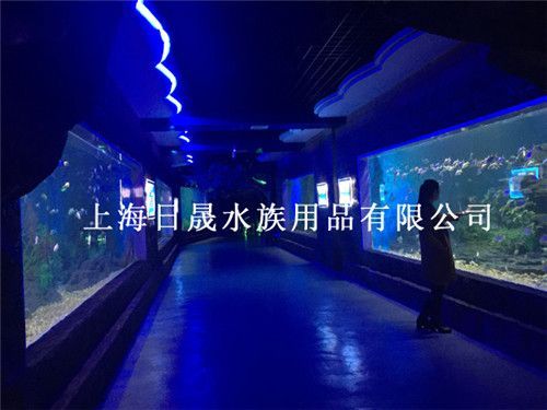 水族館設計工程施工：水族館設計工程施工的重要性