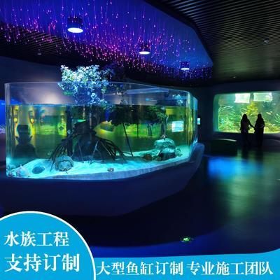 龍魚和戰(zhàn)船魚哪個(gè)好養(yǎng),龍魚和戰(zhàn)船哪個(gè)好養(yǎng) 觀賞魚百科 第1張 龍魚和戰(zhàn)船魚哪個(gè)好養(yǎng),龍魚和戰(zhàn)船哪個(gè)好養(yǎng) 龍魚和戰(zhàn)船魚哪個(gè)好養(yǎng),龍魚和戰(zhàn)船哪個(gè)好養(yǎng) 觀賞魚百科 第1張