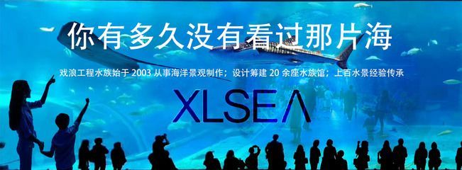 開(kāi)一個(gè)水族館需要的采購(gòu)清單:開(kāi)一個(gè)水族館需要采購(gòu)的物品 水族館百科(水族館加盟) 第4張 開(kāi)一個(gè)水族館需要的采購(gòu)清單:開(kāi)一個(gè)水族館需要采購(gòu)的物品 開(kāi)一個(gè)水族館需要的采購(gòu)清單:開(kāi)一個(gè)水族館需要采購(gòu)的物品 水族館百科(水族館加盟) 第4張