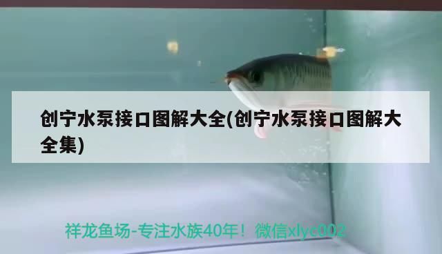 創寧水泵接口圖解大全(創寧水泵接口圖解大全集)