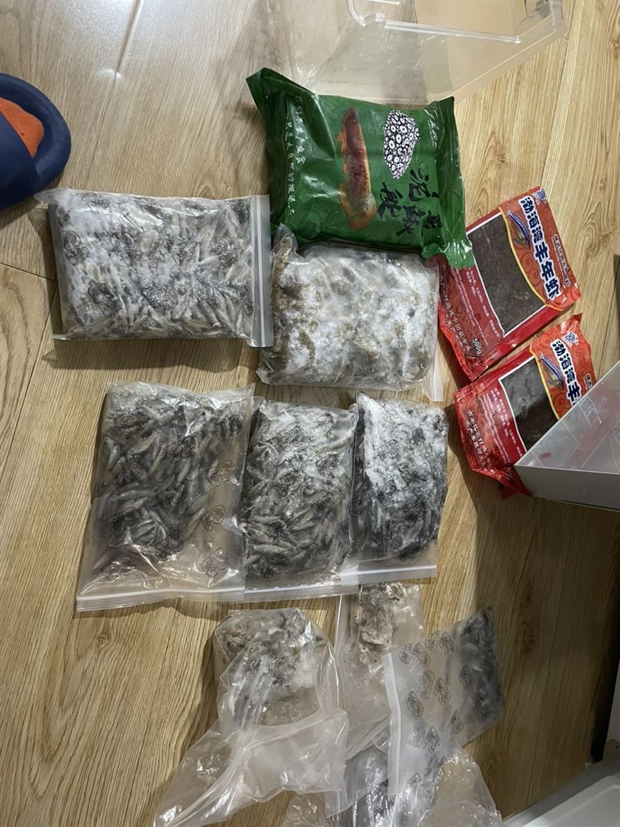 掉一片鱗 掉一片鱗 龍魚(yú)論壇 第5張