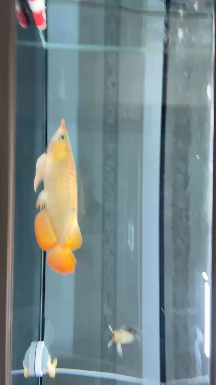 —