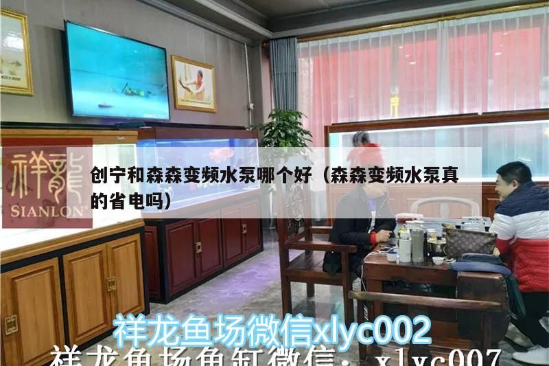 創寧和森森變頻水泵哪個好（森森變頻水泵真的省電嗎）