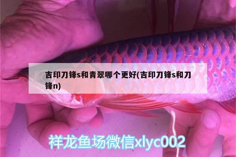 詳細(xì)閱讀:吉印刀鋒s和青翠哪個(gè)更好(吉印刀鋒s和刀鋒n) 吉印刀鋒s和青翠哪個(gè)更好(吉印刀鋒s和刀鋒n)