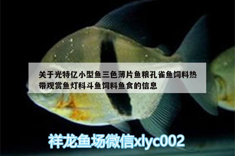 關于光特億小型魚三色薄片魚糧孔雀魚飼料熱帶觀賞魚燈科斗魚飼料魚食的信息