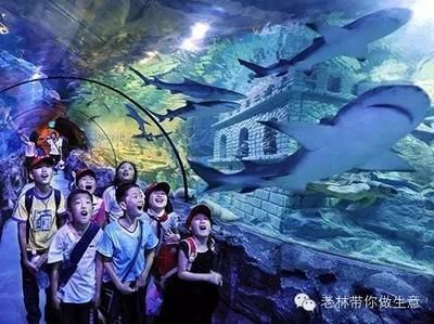 水族館運營維護外包（國內外水族館運營維護外包案例分析）