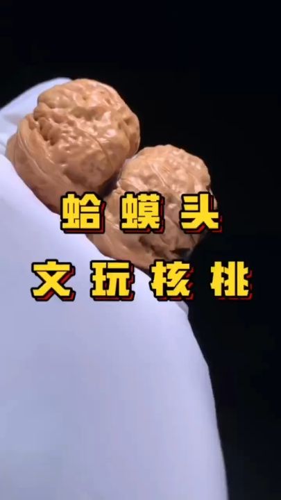 蛤蟆頭文玩核桃 蛤蟆頭文玩核桃 龍魚論壇
