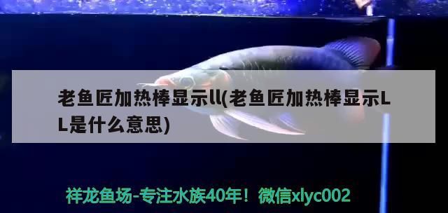 魚缸 老魚匠加熱棒顯示ll(老魚匠加熱棒顯示LL是什么意思) 老魚匠 老魚匠加熱棒顯示ll(老魚匠加熱棒顯示LL是什么意思) 老魚匠加熱棒顯示ll(老魚匠加熱棒顯示LL是什么意思) 老魚匠