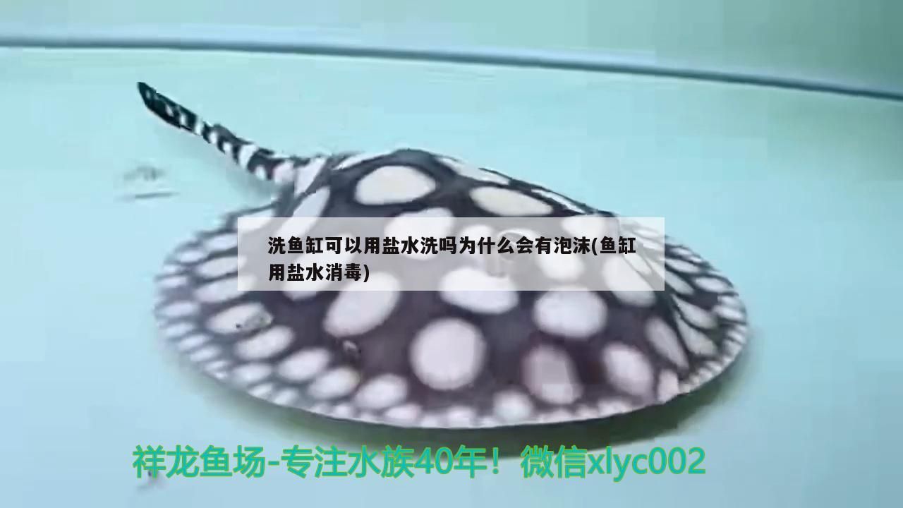 洗魚缸可以用鹽水洗嗎為什么會有泡沫(魚缸用鹽水消毒) 洗魚缸可以用鹽水洗嗎為什么會有泡沫(魚缸用鹽水消毒) 九鼎魚缸