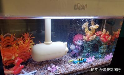 36魚缸造景：魚缸造景的基礎知識