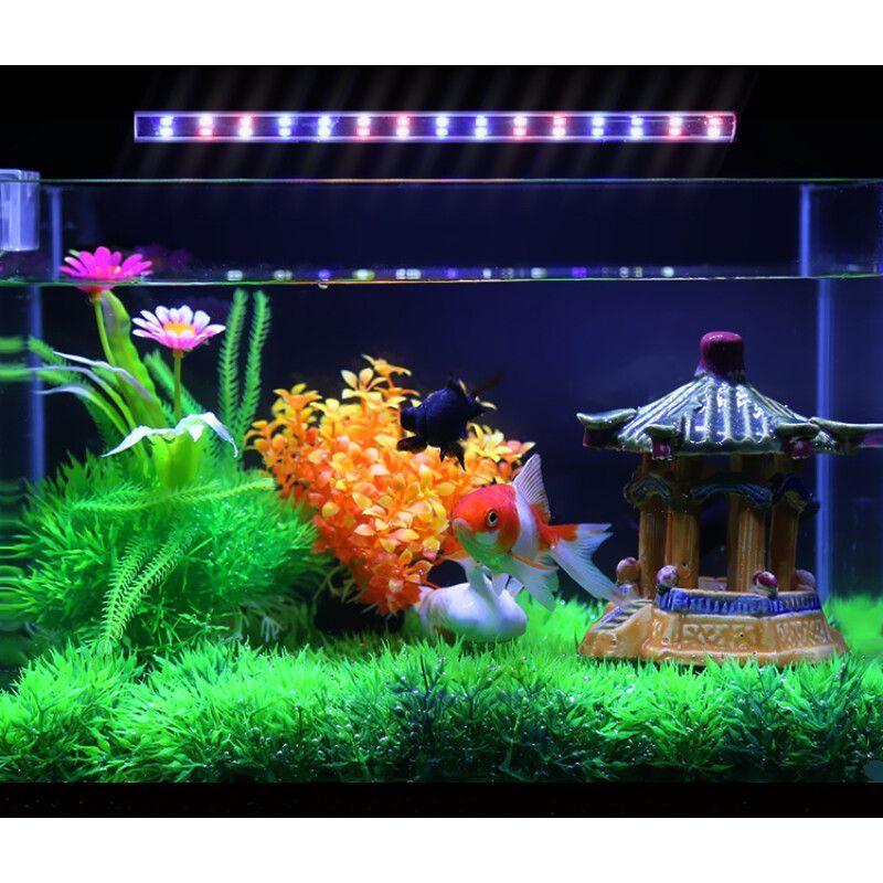 36魚缸造景：魚缸造景的基礎知識
