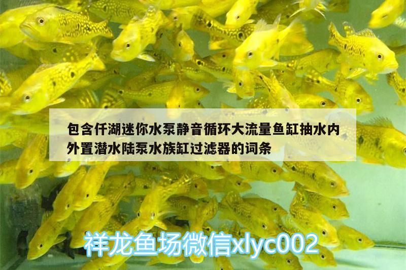 小型魚 包含仟湖迷你水泵靜音循環(huán)大流量魚缸抽水內(nèi)外置潛水陸泵水族缸過濾器的詞條 仟湖 包含仟湖迷你水泵靜音循環(huán)大流量魚缸抽水內(nèi)外置潛水陸泵水族缸過濾器的詞條 包含仟湖迷你水泵靜音循環(huán)大流量魚缸抽水內(nèi)外置潛水陸泵水族缸過濾器的詞條 仟湖