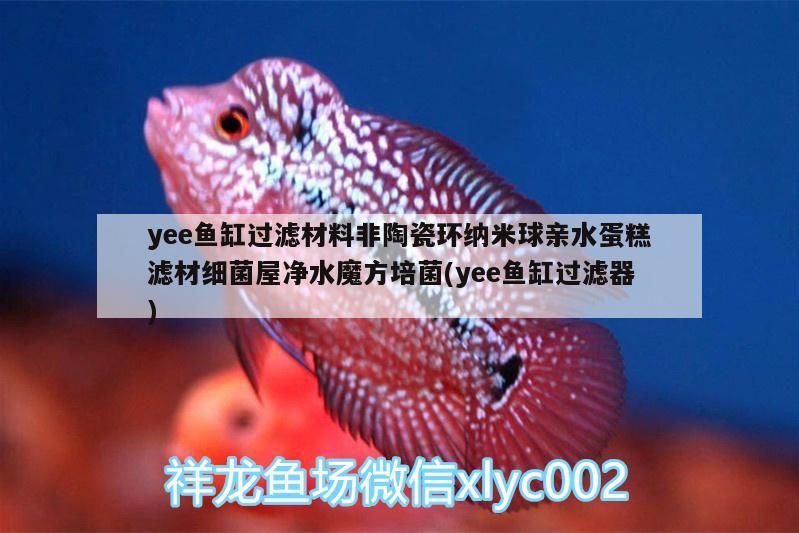 yee魚缸過濾材料非陶瓷環(huán)納米球親水蛋糕濾材細(xì)菌屋凈水魔方培菌(yee魚缸過濾器)