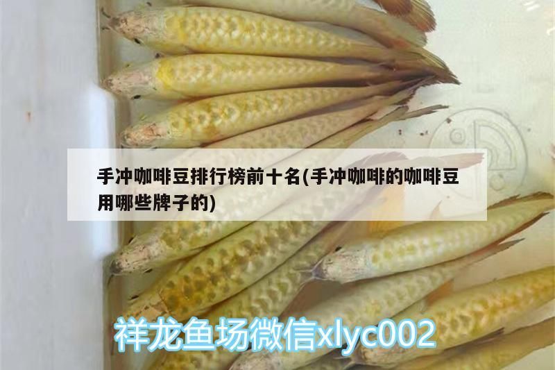 龍魚干蝦有營養(yǎng)嗎 手沖咖啡豆排行榜前十名(手沖咖啡的咖啡豆用哪些牌子的) 馬來西亞咖啡 手沖咖啡豆排行榜前十名(手沖咖啡的咖啡豆用哪些牌子的) 手沖咖啡豆排行榜前十名(手沖咖啡的咖啡豆用哪些牌子的) 馬來西亞咖啡