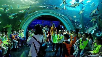 成都最大的水族館在哪里：成都最大的水族館 成都最大的水族館在哪里：成都最大的水族館 水族館百科（水族館加盟） 第5張