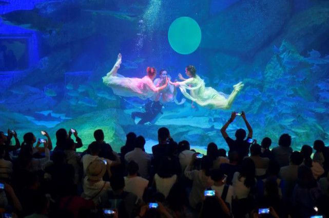 成都最大的水族館在哪里：成都最大的水族館 成都最大的水族館在哪里：成都最大的水族館 水族館百科（水族館加盟） 第4張