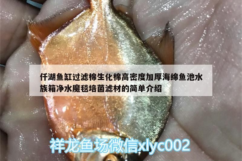 仟湖魚缸過濾棉生化棉高密度加厚海綿魚池水族箱凈水魔毯培菌濾材的簡單介紹 仟湖魚缸過濾棉生化棉高密度加厚海綿魚池水族箱凈水魔毯培菌濾材的簡單介紹 仟湖