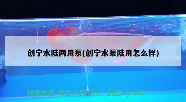 創(chuàng)寧水陸兩用泵(創(chuàng)寧水泵陸用怎么樣) 創(chuàng)寧水陸兩用泵(創(chuàng)寧水泵陸用怎么樣) 創(chuàng)寧水族