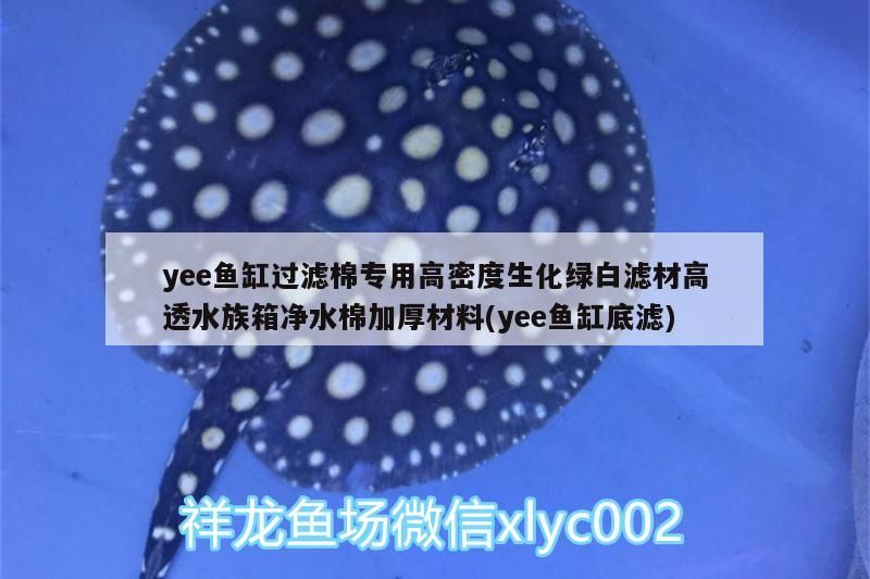 魚缸過濾器選購指南:自制魚缸過濾器魚缸上置過濾器對于養(yǎng)魚愛好者的必備知識 yee魚缸過濾棉專用高密度生化綠白濾材高透水族箱凈水棉加厚材料(yee魚缸底濾) yee yee魚缸過濾棉專用高密度生化綠白濾材高透水族箱凈水棉加厚材料(yee魚缸底濾) yee魚缸過濾棉專用高密度生化綠白濾材高透水族箱凈水棉加厚材料(yee魚缸底濾) yee