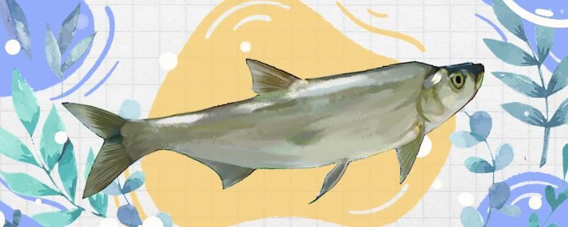 黑色魚缸圖片高清（ 黑色魚缸圖片高清大圖）